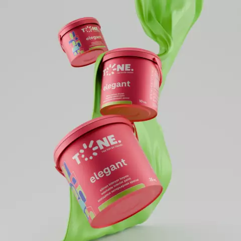 T.ELEGANT SİLİNƏN İNTERYER-B.RƏNG 10 KG