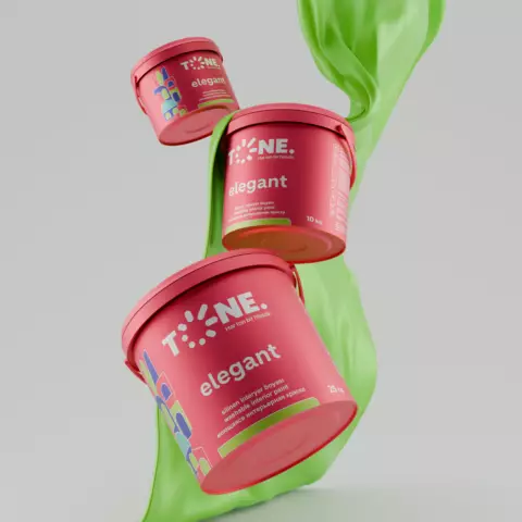 T.ELEGANT SİLİNƏN İNTERYER-A.RƏNG 10 KG