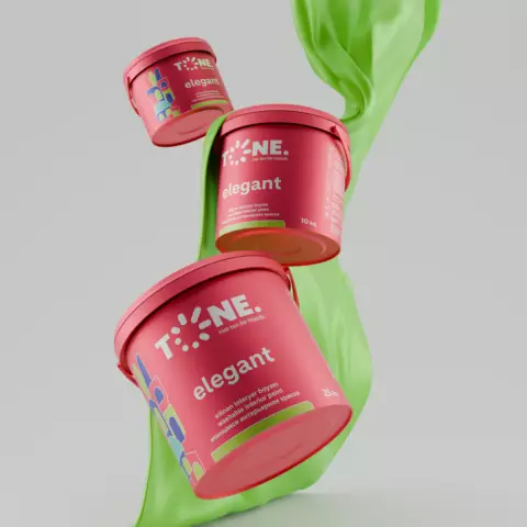 T.ELEGANT SİLİNƏN İNTERYER-C.RƏNG 25 KG