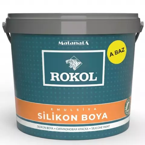 Silikon boya A bazı 10 kq