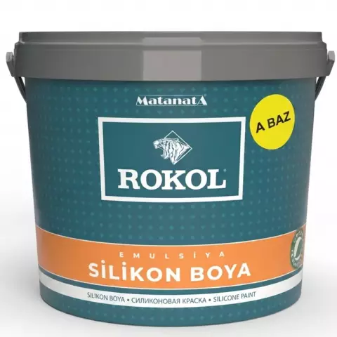 Silikon boya A bazı 25 kq