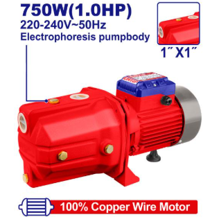 An image of a product called Su nasosu 750W