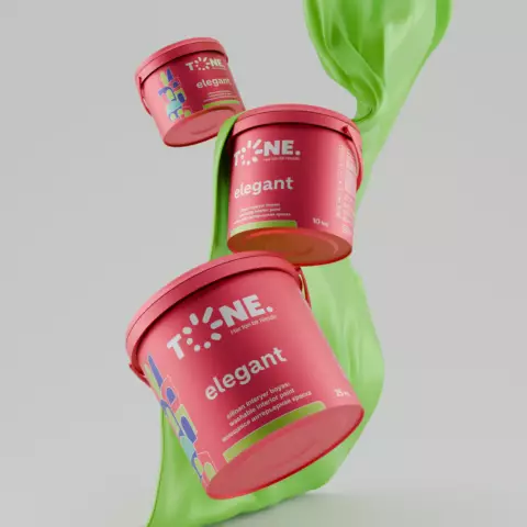 T.ELEGANT SİLİNƏN İNTERYER-A.RƏNG 25 KG